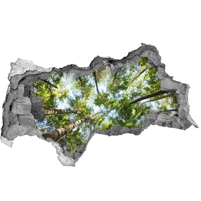 Autocollant mural trou Vue de la forêt sous un ciel bleu