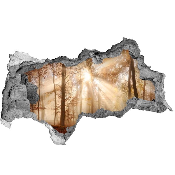 Autocollant mural trou Col forestier du Soleil