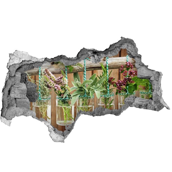 Sticker trou dans le mur Jardin d'herbes aromatiques en bocaux