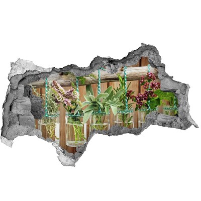 Sticker trou dans le mur Jardin d'herbes aromatiques en bocaux