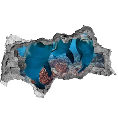 Sticker mural effet trou 3d Dauphins dans un récif corallien