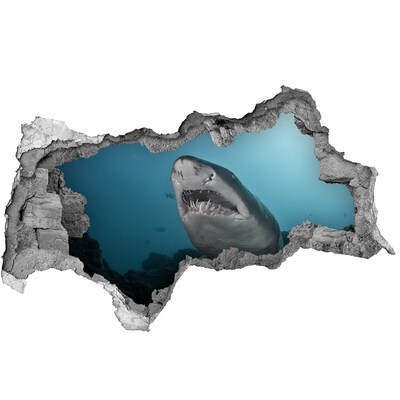 Sticker mural effet trou 3d Grand requin béton