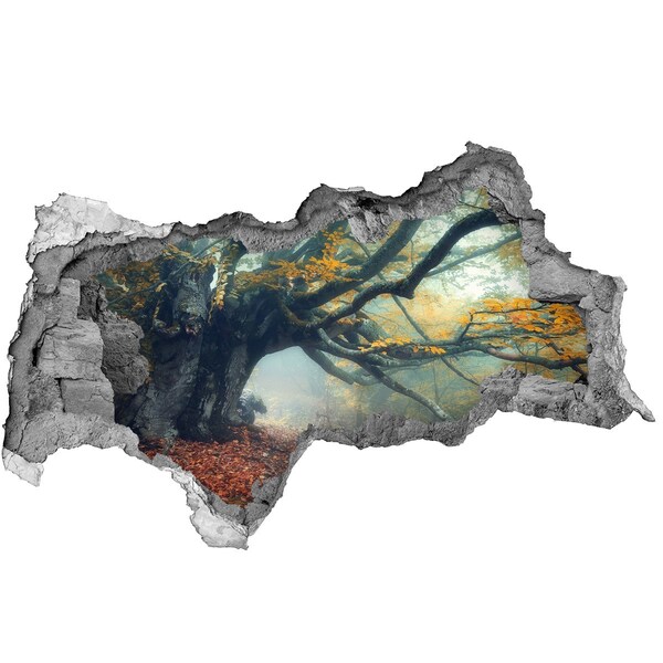 Sticker mural effet trou 3d La forêt enchantée dans son manteau d'automne