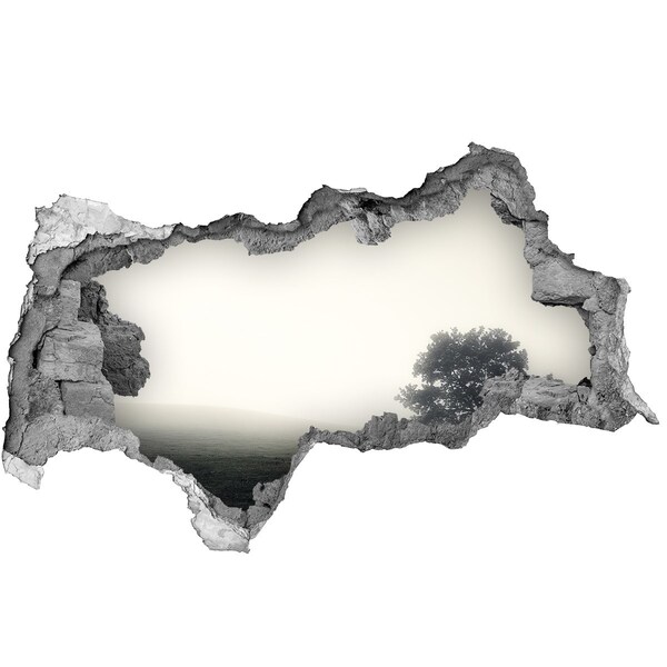 Autocollant mural trou Une clairière brumeuse avec un arbre solitaire