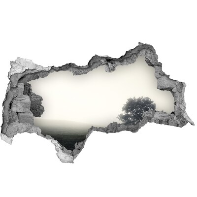 Autocollant mural trou Une clairière brumeuse avec un arbre solitaire