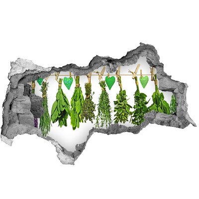Sticker mural effet trou 3d Jardin d'herbes aromatiques caché dans un mur