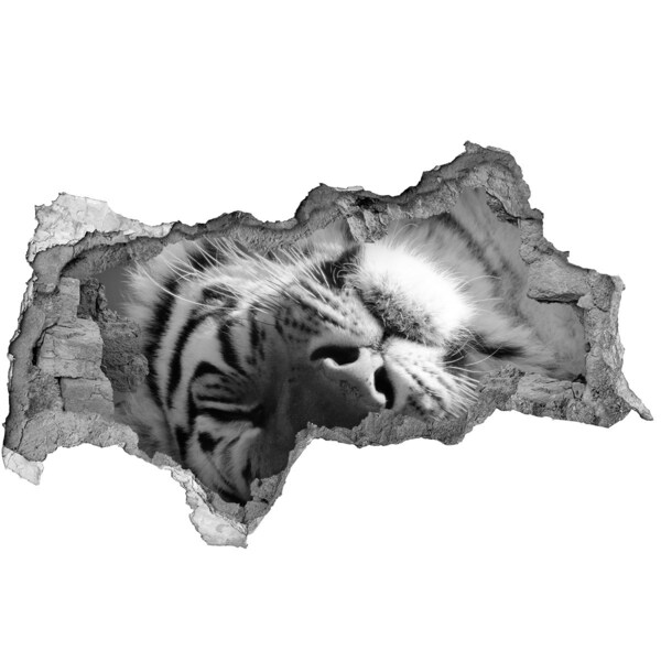 Autocollant à effet 3d trou Tigre endormi béton