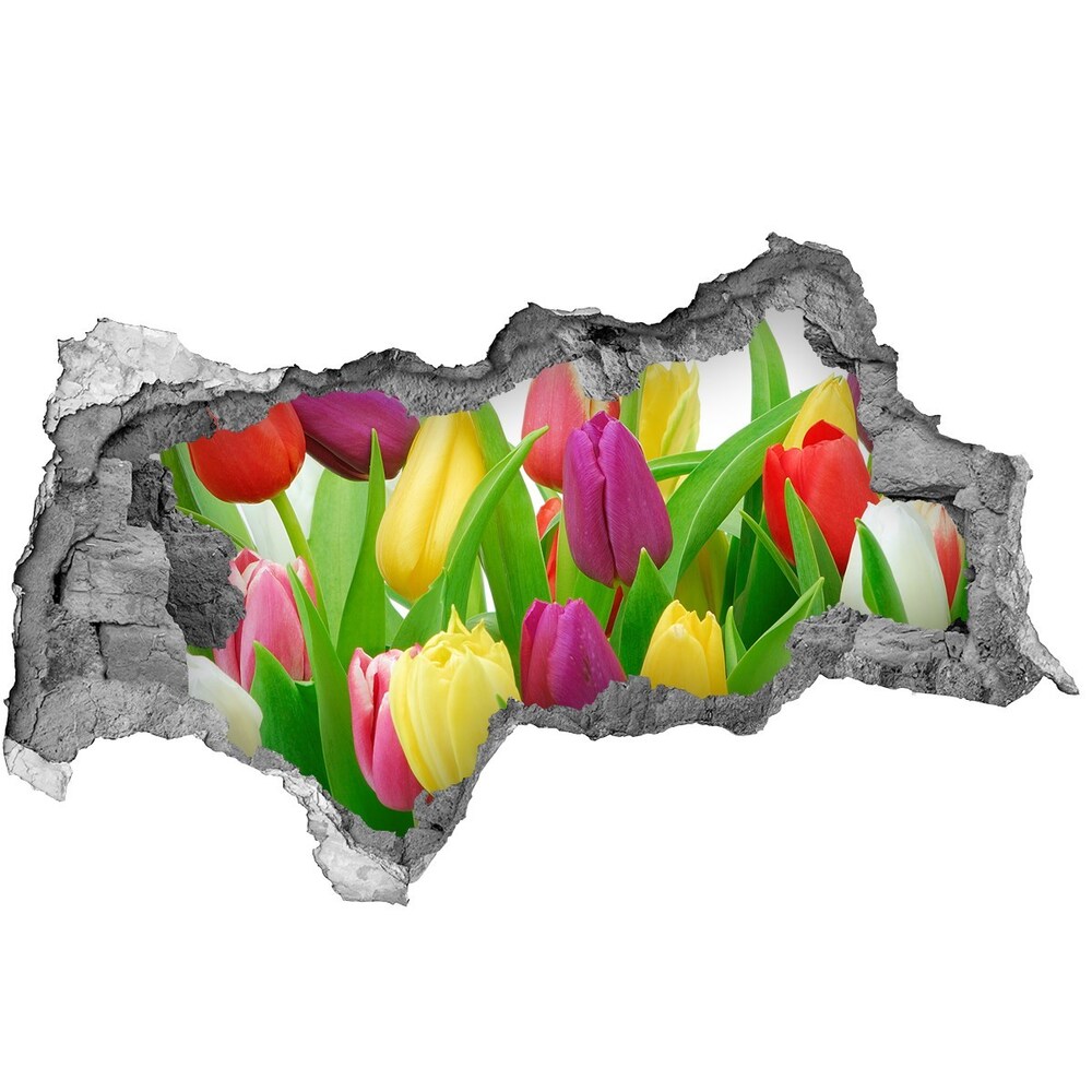 Autocollant à effet 3d trou Tulipes colorées béton