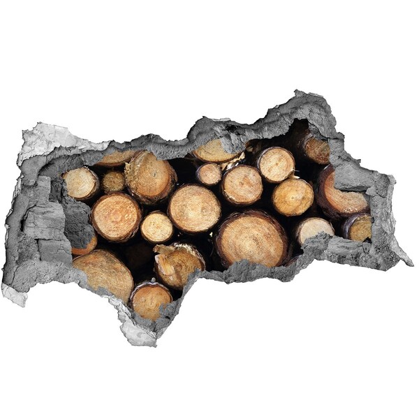 Autocollant à effet 3d trou Du bois dans un trou dans le mur