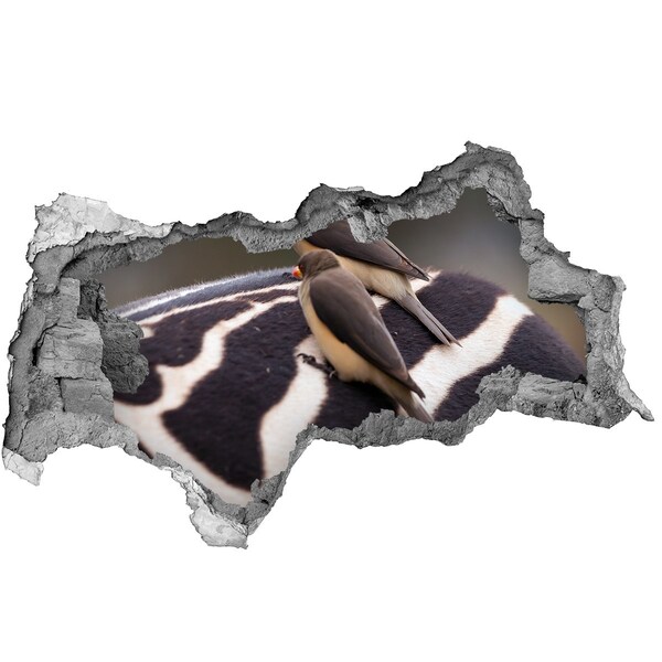 Sticker trou dans le mur Des oiseaux sur le dos d'un zèbre