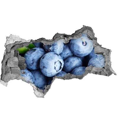 Autocollant mural trou Des baies dans un trou en béton