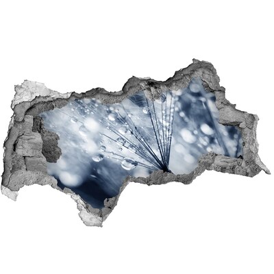 Autocollant mural trou Des gouttes de rosée tombent sur un pissenlit