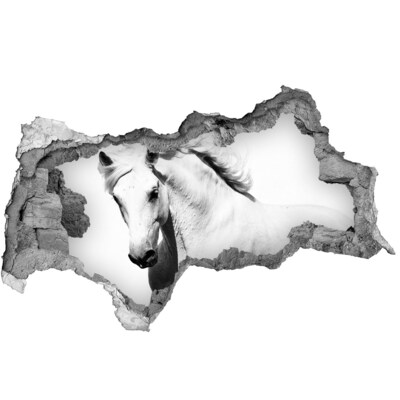 Autocollant mural trou Cheval blanc dans un trou dans le mur