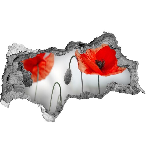 Sticker trou dans le mur Des fleurs dans un trou dans le mur