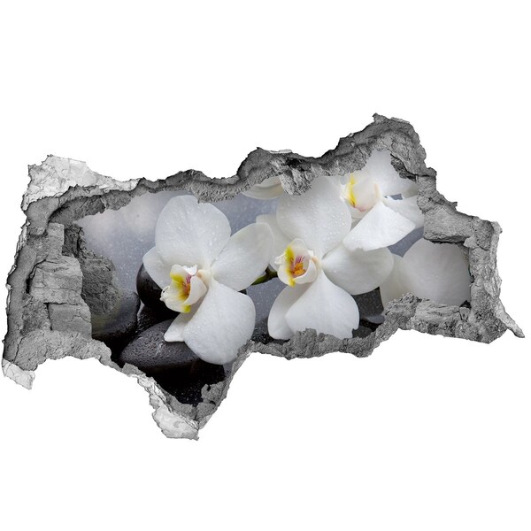 Autocollant à effet 3d trou Orchidées dans le béton
