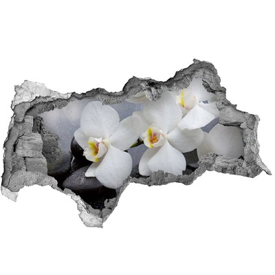 Autocollant à effet 3d trou Orchidées dans le béton
