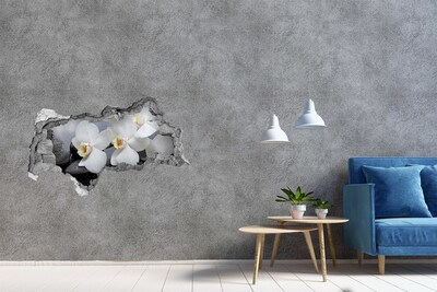 Autocollant à effet 3d trou Orchidées dans le béton