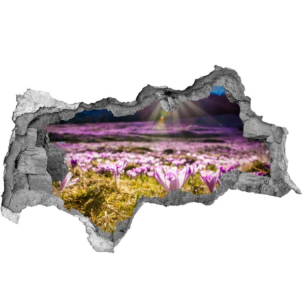 Autocollant mural trou Un champ de fleurs au soleil