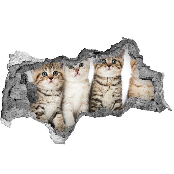 Autocollant mural trou Le trio de chats derrière le trou dans le mur