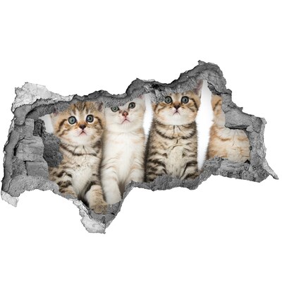 Autocollant mural trou Le trio de chats derrière le trou dans le mur