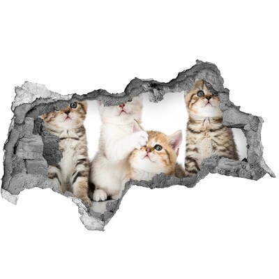 Autocollant à effet 3d trou Des chatons dans un trou dans le mur