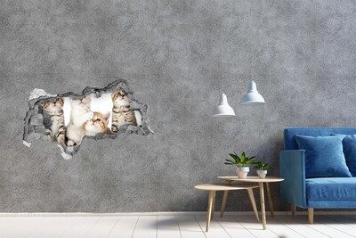 Autocollant à effet 3d trou Des chatons dans un trou dans le mur