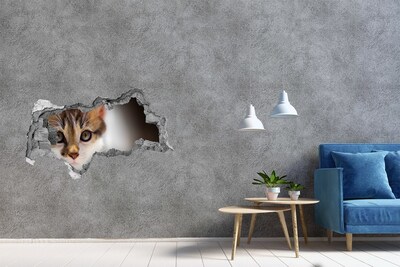 Autocollant à effet 3d trou Chat dans un trou dans le mur