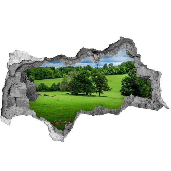 Sticker mural effet trou 3d prairie verte avec des arbres