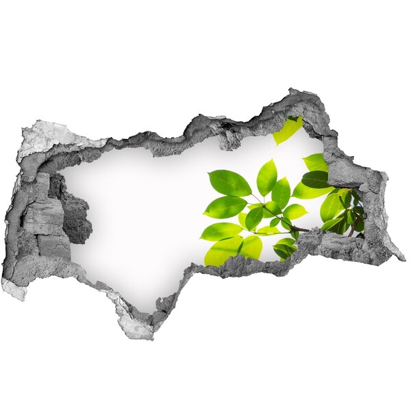 Sticker trou dans le mur Une oasis de verdure derrière le mur