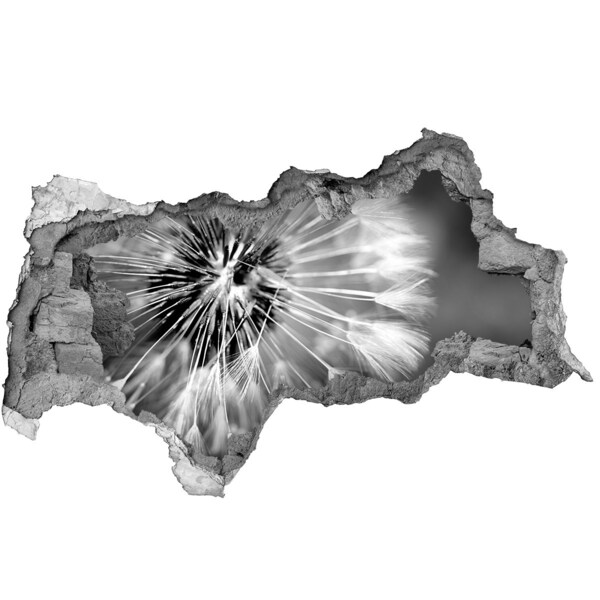 Sticker trou dans le mur Pissenlits en noir et blanc