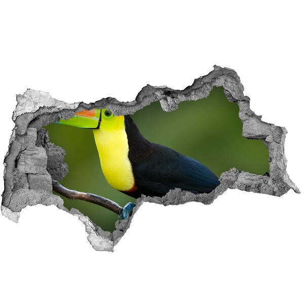 Autocollant à effet 3d trou Toucan dans une forêt tropicale