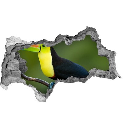 Autocollant à effet 3d trou Toucan dans une forêt tropicale