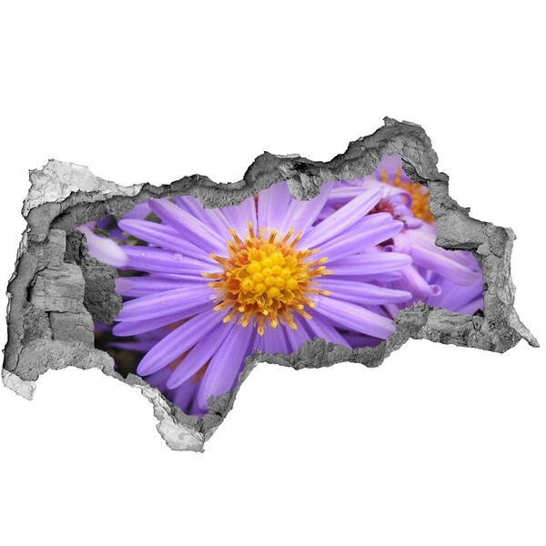 Autocollant mural trou Fleur en béton