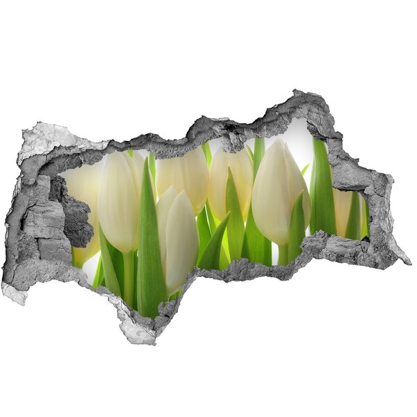Sticker mural effet trou 3d Tulipes en plein jour