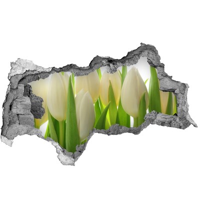 Sticker mural effet trou 3d Tulipes en plein jour
