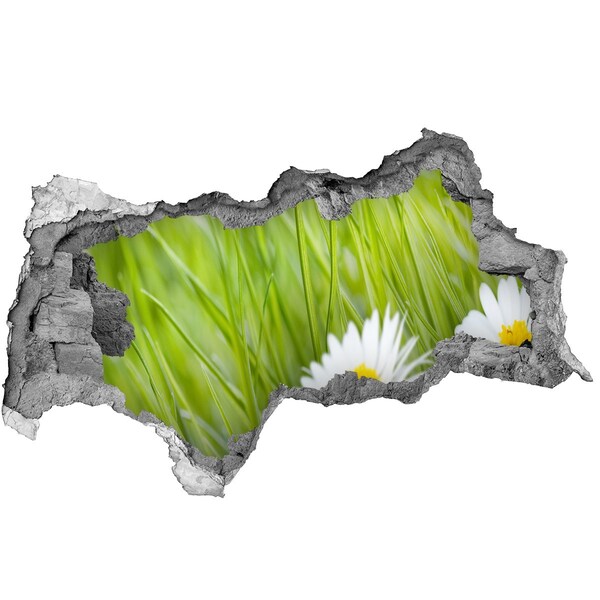 Sticker mural effet trou 3d Une fleur dans un jardin verdoyant