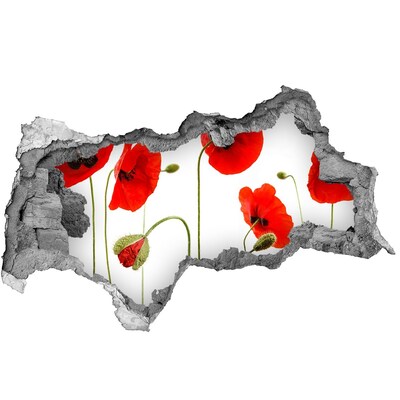 Sticker mural effet trou 3d Des coquelicots dans un trou dans le mur