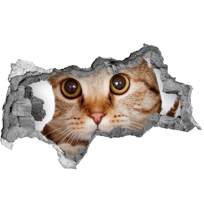 Autocollant à effet 3d trou Le chat derrière le trou dans le mur