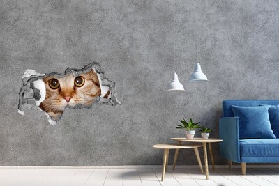 Autocollant à effet 3d trou Le chat derrière le trou dans le mur