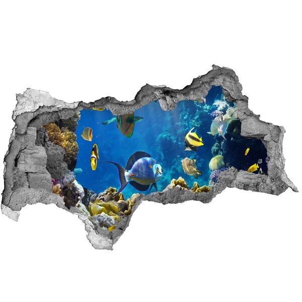 Autocollant à effet 3d trou Le monde sous-marin du récif corallien