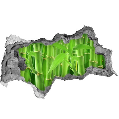 Autocollant mural trou Forêt de bambous verts