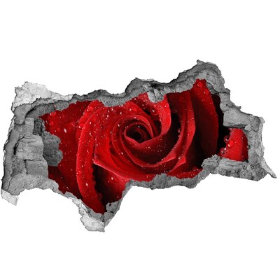 Sticker trou dans le mur Fleur en béton