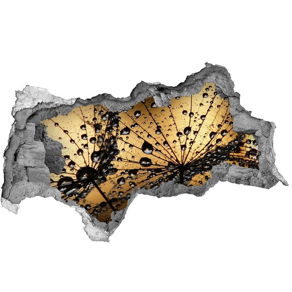 Sticker trou dans le mur Des gouttes sur les feuilles