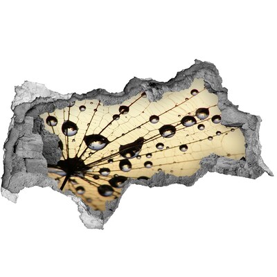 Autocollant à effet 3d trou Des gouttes d'eau sur une aile de papillon