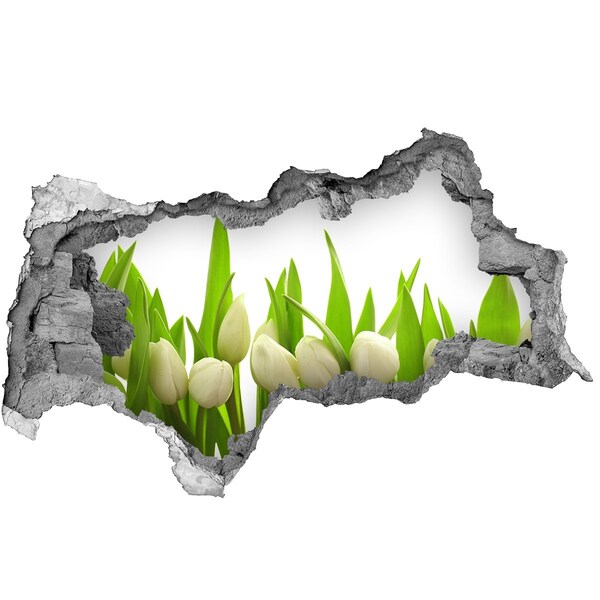 Sticker mural effet trou 3d Fleurs dans le jardin