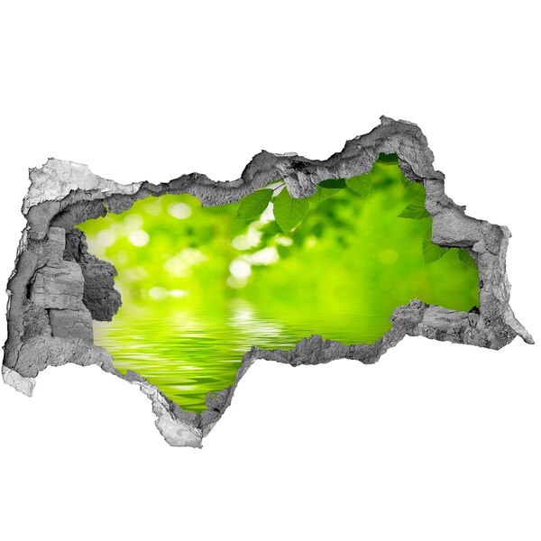 Autocollant à effet 3d trou Oasis verte avec de l'eau