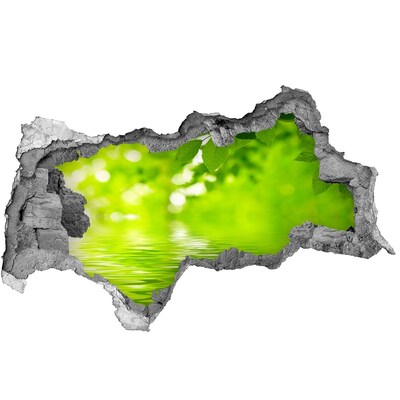 Autocollant à effet 3d trou Oasis verte avec de l'eau