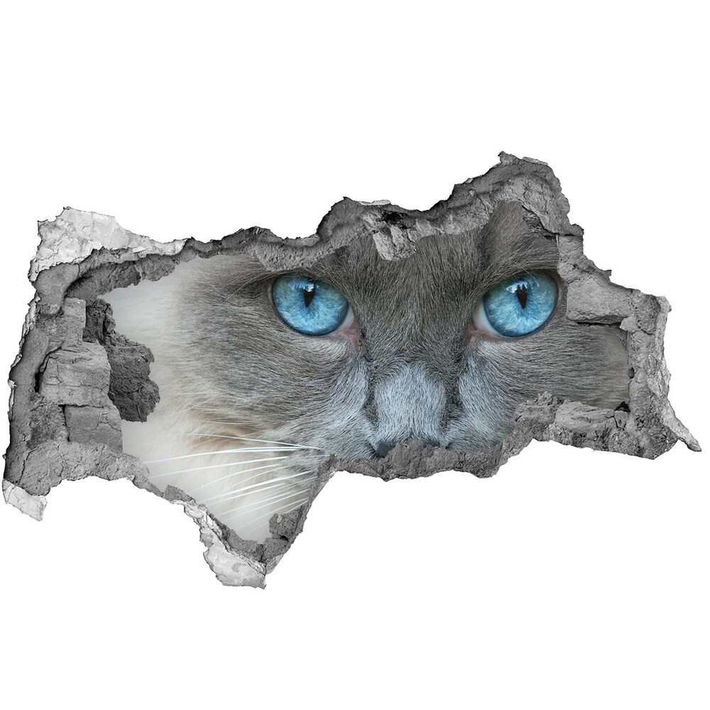 Autocollant à effet 3d trou Chat aux yeux bleus béton