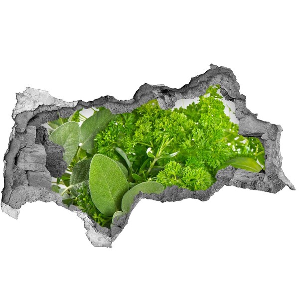 Autocollant à effet 3d trou Une oasis de verdure en béton