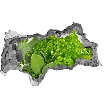 Autocollant à effet 3d trou Une oasis de verdure en béton